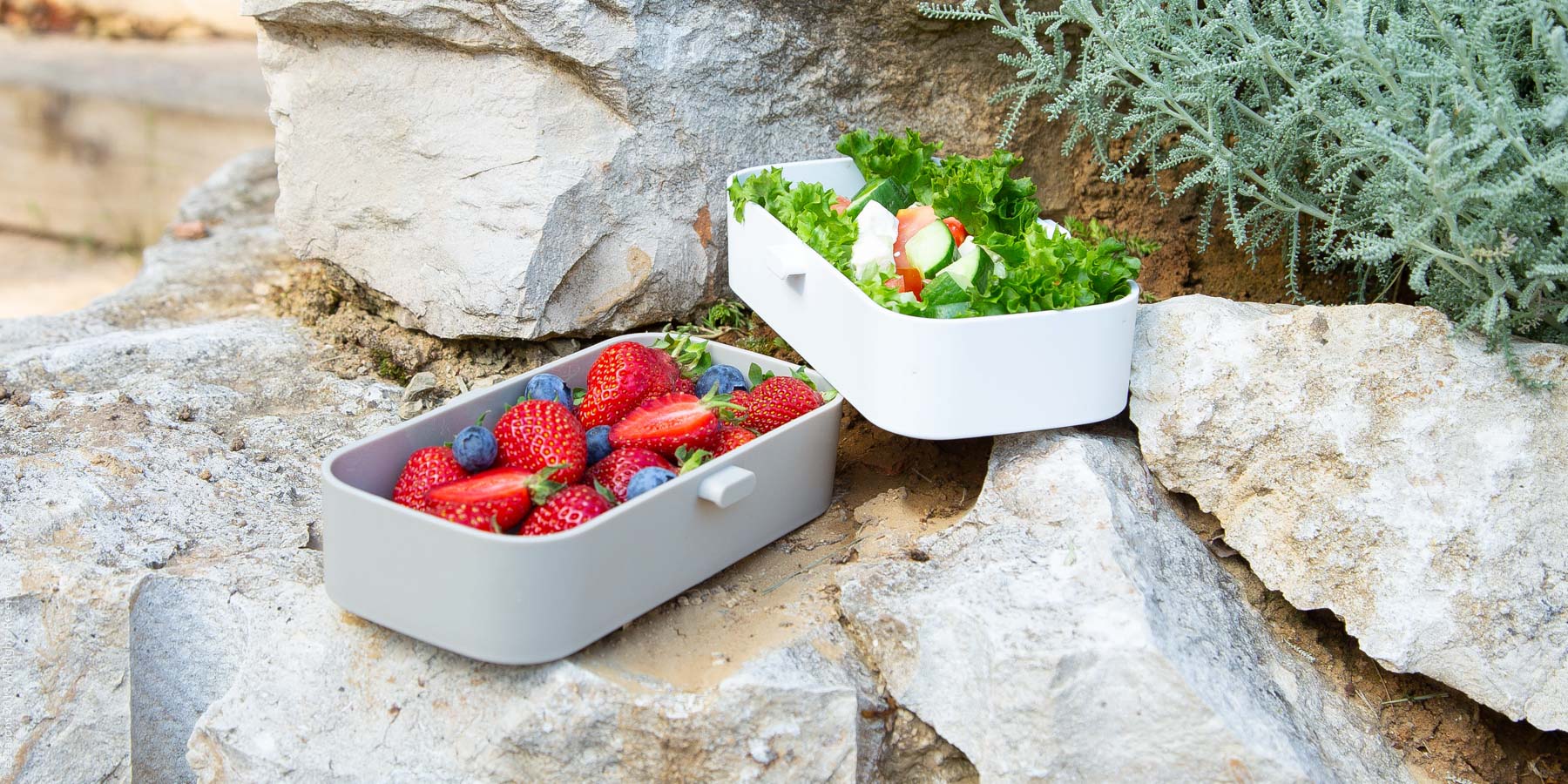 Elegant food photography: eSeasons Bento Lunchbox in Warm Grey with appetizing lunch of strawberries and salad, against rugged quarried stone